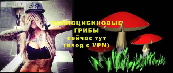 СК Бронницы