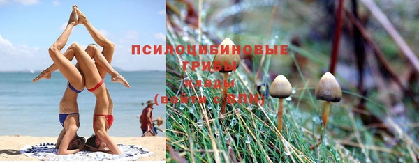 СК Бронницы
