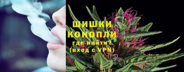 ПСИЛОЦИБИНОВЫЕ ГРИБЫ Бугульма