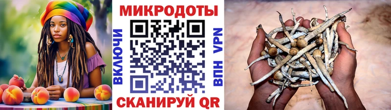 где продают   Конаково  Галлюциногенные грибы MAGIC MUSHROOMS 